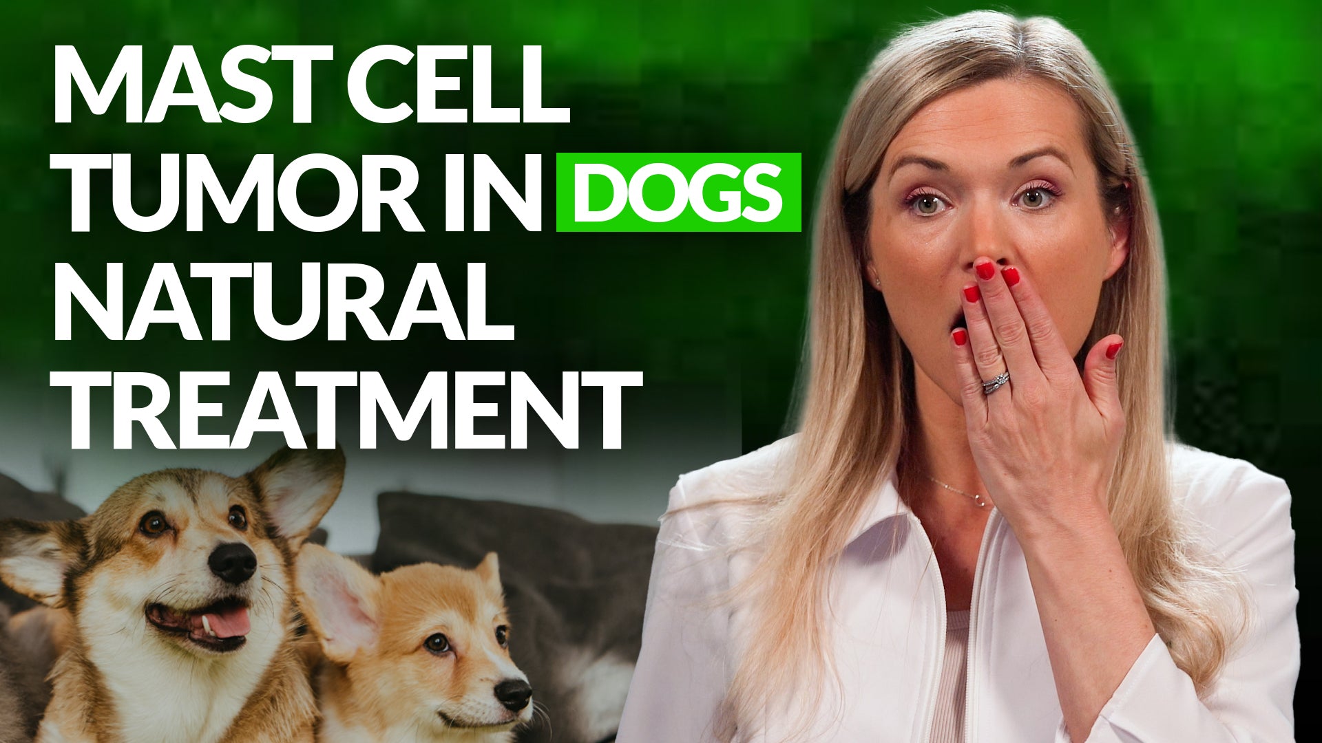 Naturally Treating Mast Cell Tumor in Dogs the RIGHT Way Zumalka