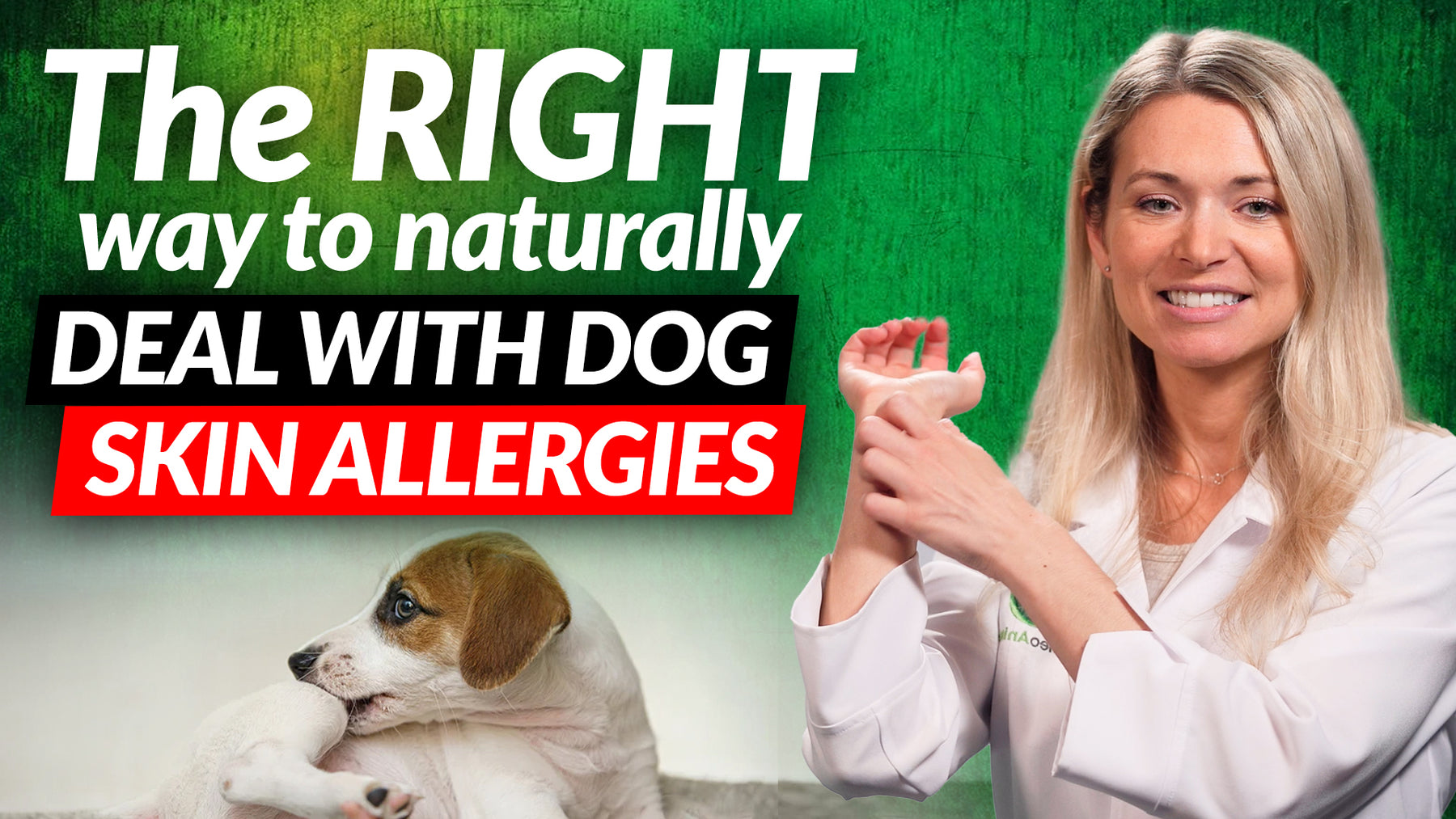 here-s-the-correct-way-of-naturally-treating-dog-skin-allergies-at-hom