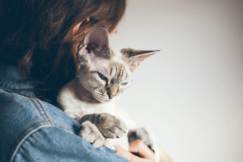 Girl holding her cat.