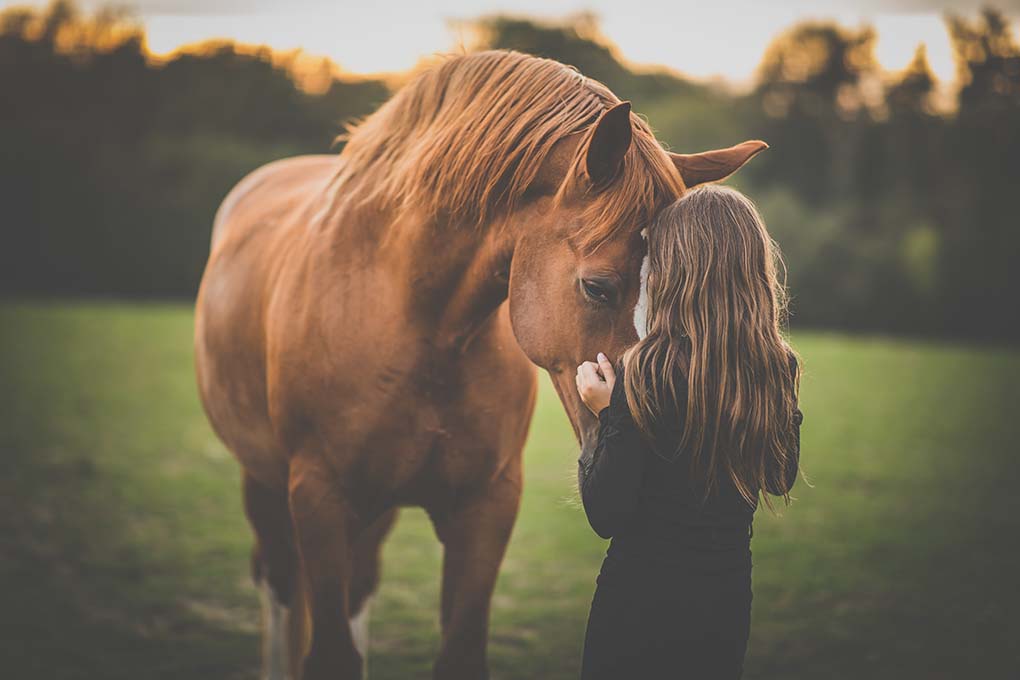 Here are the Important Things to Remember About Cancer in Horses