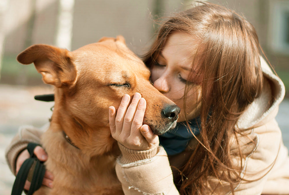 Detecting and Treating Stomach Cancer in Dogs