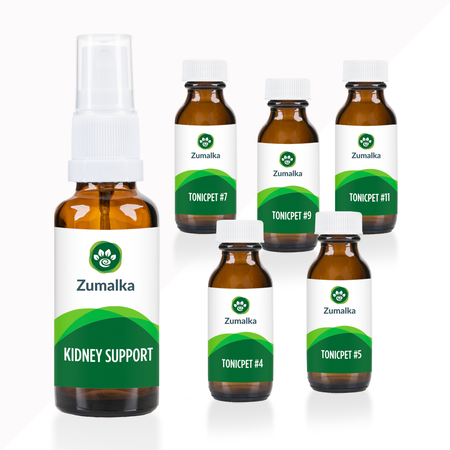 Optimal Package for Kidney Failure in Dogs, Cats and Animals – Zumalka